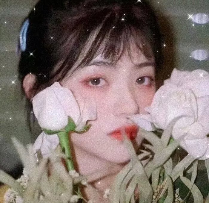 请求庇护
